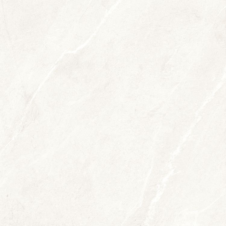Dhara White Matte 48 x 48
